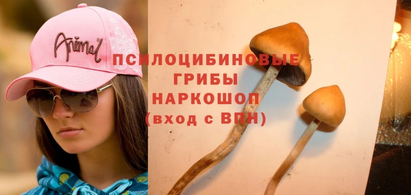 спайс Аркадак