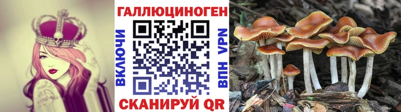 Галлюциногенные грибы GOLDEN TEACHER дарнет шоп Вилюйск